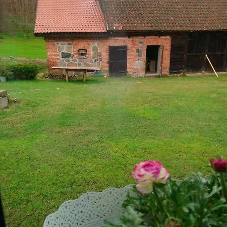 Camp Warmia * Stare Kawkowo