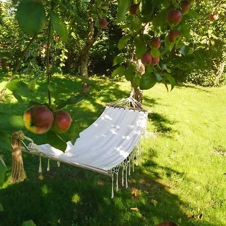 Hébergement de vacances Camp Warmia Stare Kawkowo