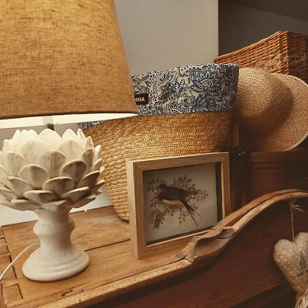 Camp Warmia * Stare Kawkowo