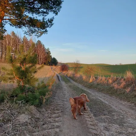 Camp Warmia Ferienhaus *