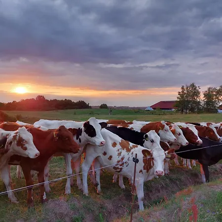 Camp Warmia Ferienhaus *