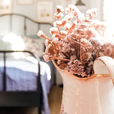 Camp Warmia * Stare Kawkowo